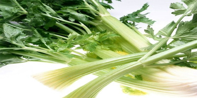 芹菜会导致死精症