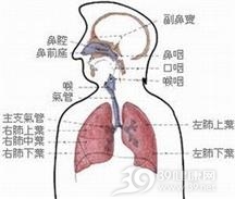 出血热