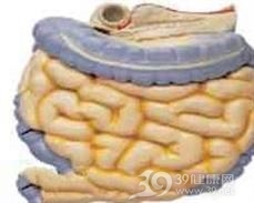 大肠平滑肌肉瘤