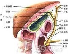 胆道运动功能障碍