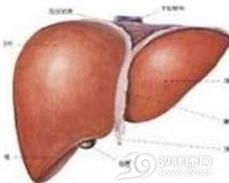 胆囊平滑肌肉瘤