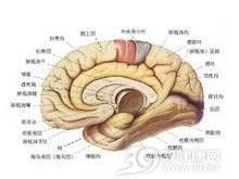 顶叶肿瘤
