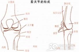 骨质软化症与佝偻病