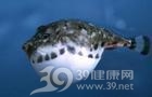 河豚毒素中毒