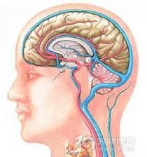 进行性多灶性白质脑病