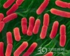集聚肠杆菌感染