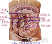 急性肠系膜上动脉梗死