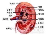 急性风湿热肾损害