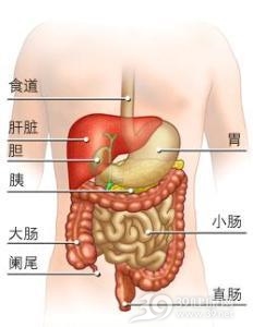 结直肠血管瘤