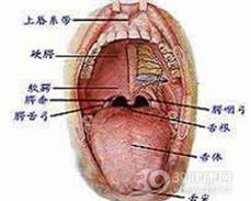 口咽部粘连