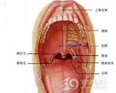 结核性溃疡