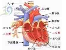 老年人高钾血症