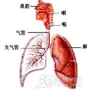 老年人急性呼吸窘迫综合征