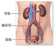 老年人急性肾功能衰竭
