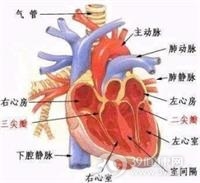 老年人脑心综合征