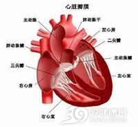老年人心室扑动与颤动