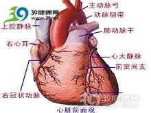 老年人预激综合征