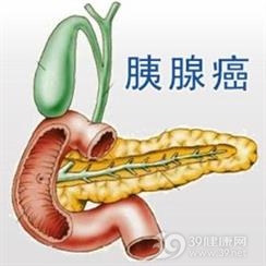 老年人胰腺癌