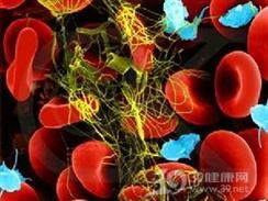 冷球蛋白血症肾损害