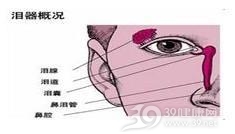 慢性泪腺炎