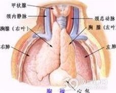 Nezelot综合征