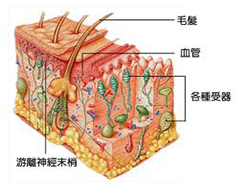 皮肤过敏
