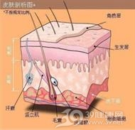 皮肤纤毛囊肿
