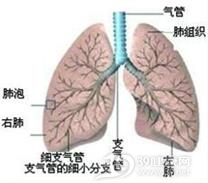 葡萄球菌肺炎