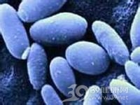 全身性念珠菌病