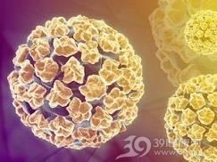 人乳头瘤病毒