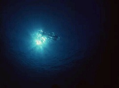 深海恐惧症
