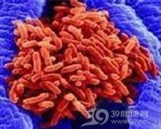 嗜麦芽黄单胞菌肺炎