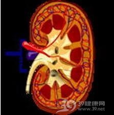 肾皮质髓质脓肿
