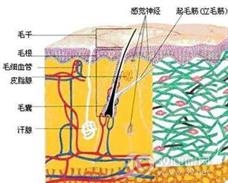 水痛症