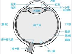 上斜肌腱鞘综合征