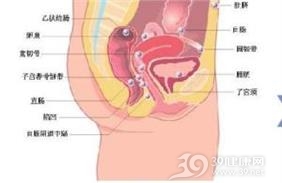 生殖道肿瘤皮肤转移