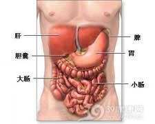 胃肠型食物中毒