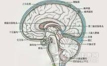 外伤性硬脑膜下积液