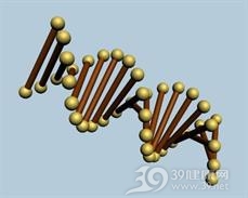微小病毒感染