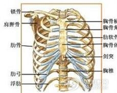 胸壁骨肿瘤