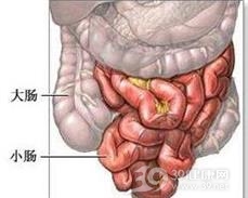 小肠纤维瘤