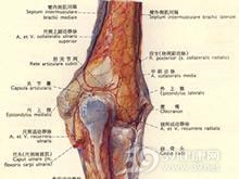先天性桡骨缺如