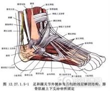 先天性跖骨内收畸形