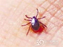 恙虫病