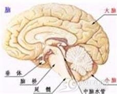 原发性阿米巴脑膜脑炎