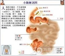 原发性小肠淋巴管扩张症