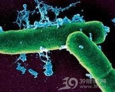 中毒性休克综合征