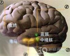 中枢神经兴奋药中毒