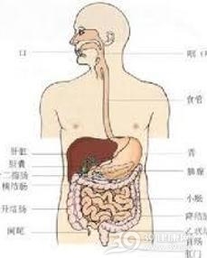 转移性小肠肿瘤